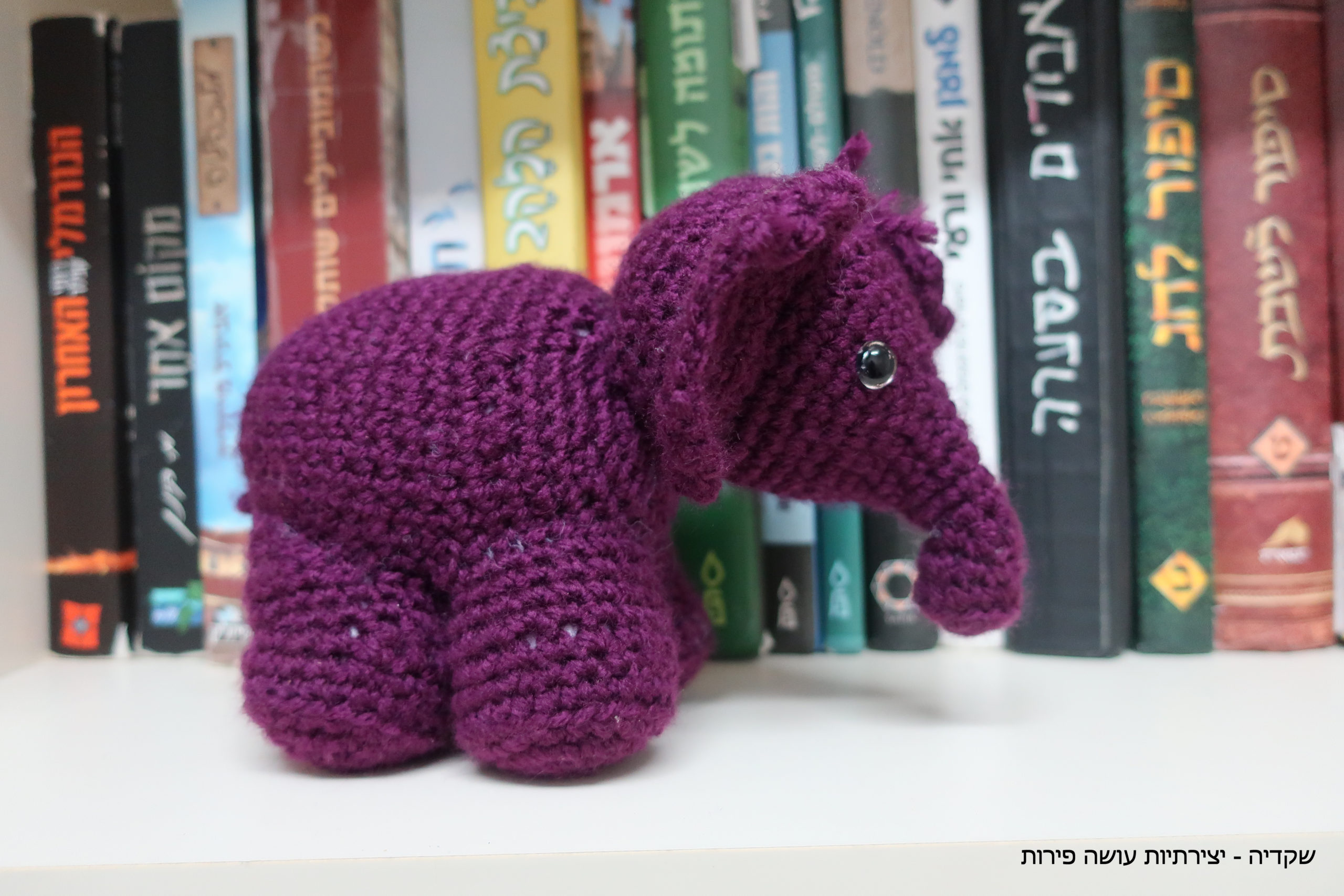 שקדיה - פיל סרוג